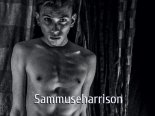 sammuseharrison Cigare à moustache