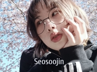 Seosoojin