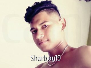 Sharboy19
