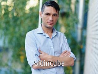 Sid_incube