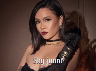 Sky_junne