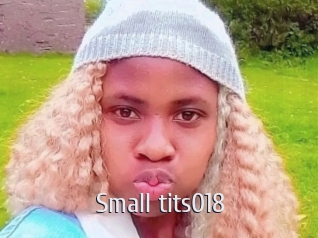 Small_tits018