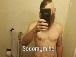 Sodomymike
