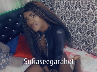 Sofiaseegarahot