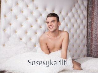 Sosexykarllfu