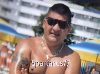 spartacus77 Cigare à moustache