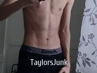 TaylorsJunk