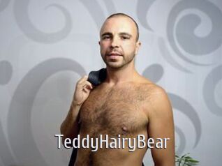 TeddyHairyBear