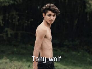 Tony_wolf