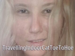 TravellingIndoorCatToeToHoe