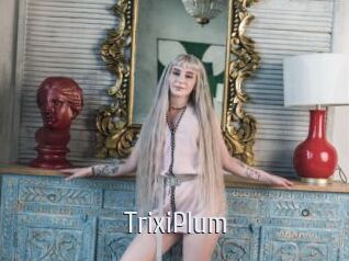 TrixiPlum