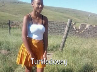 Turtledovey