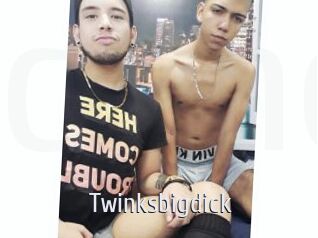 Twinksbigdick