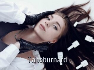 Taiteburnard