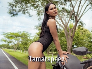 tamarapaez Cigare à moustache