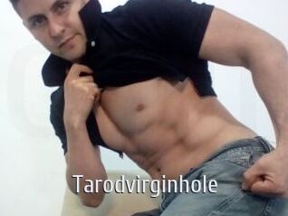 Tarodvirginhole