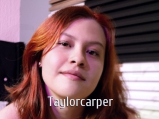 taylorcarper Cigare à moustache