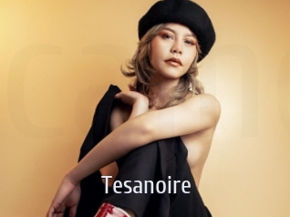 tesanoire Cigare à moustache