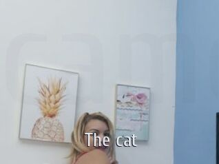 The_cat