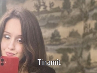 Tinamit