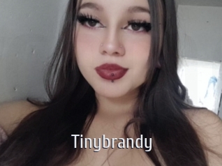 Tinybrandy
