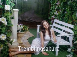 Tremblingsakura