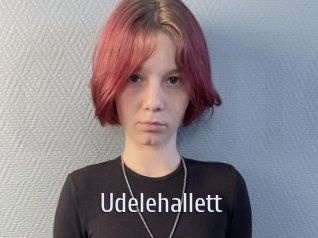 Udelehallett