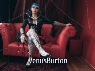 VenusBurton