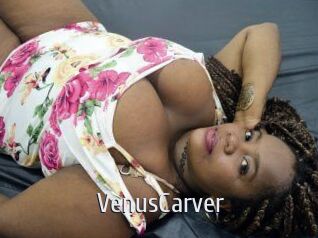 VenusCarver