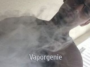 Vapor_genie