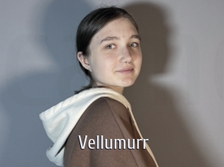 vellumurr Cigare à moustache