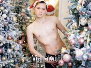 Vianalwin