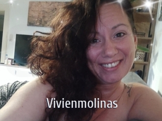 Vivienmolinas