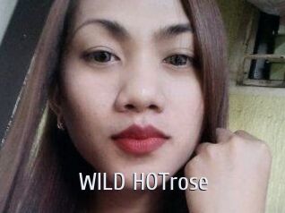 WILD_HOTrose