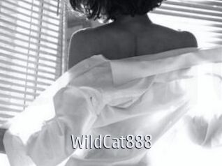 WildCat888