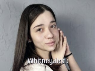 whitneyaleck Cigare à moustache