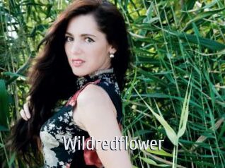Wildredflower