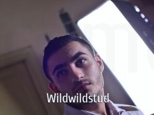 wildwildstud Cigare à moustache
