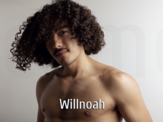 willnoah Cigare à moustache