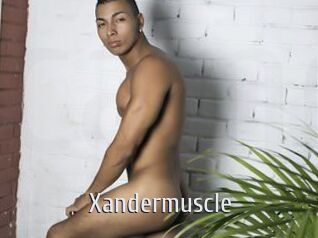 Xandermuscle