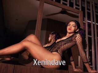 Xenindave