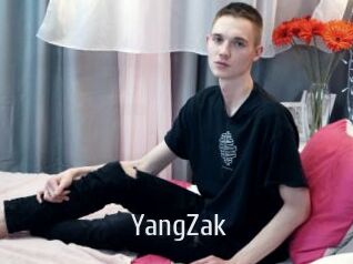 YangZak Cigare à moustache