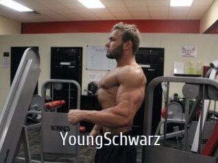 YoungSchwarz Cigare à moustache