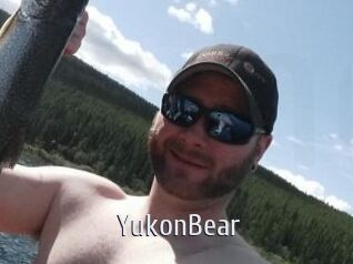 YukonBear