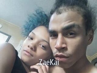 ZaeKai Cigare à moustache
