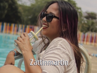 Zattinmartin