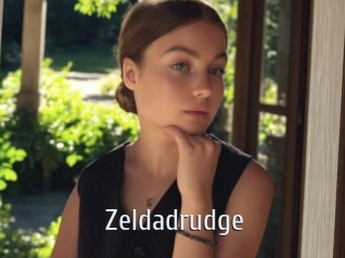 Zeldadrudge