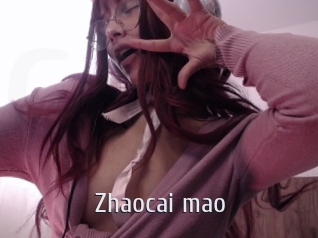 Zhaocai_mao