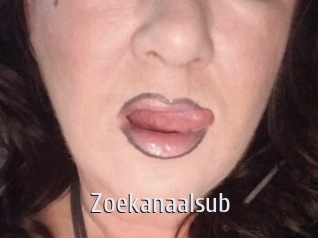 Zoekanaalsub